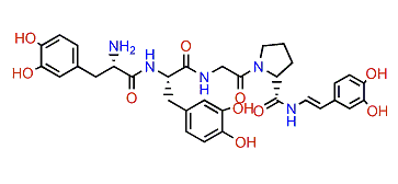 Tunichrome Sp 1